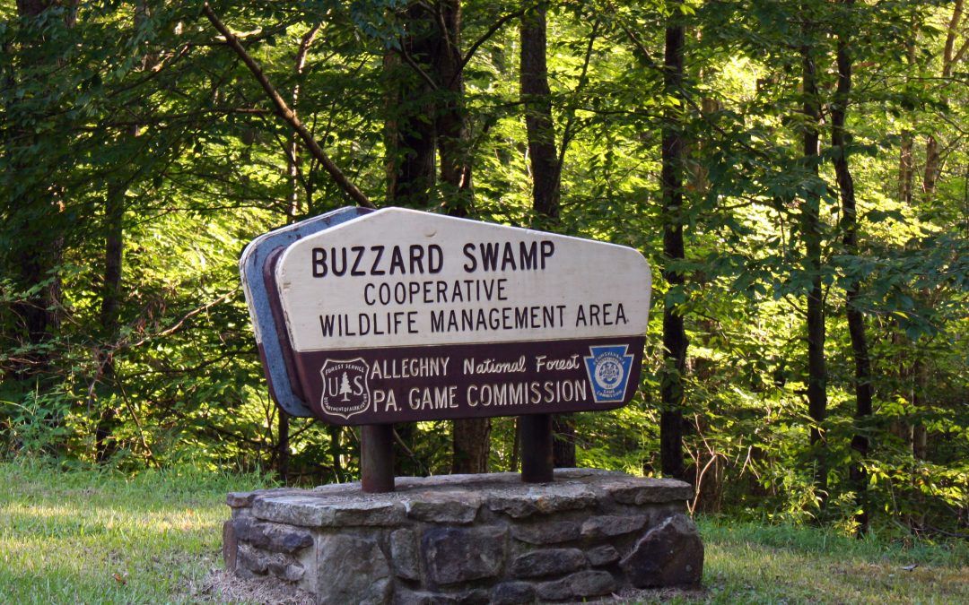 Buzzard Swamp Wildlife Management Area
