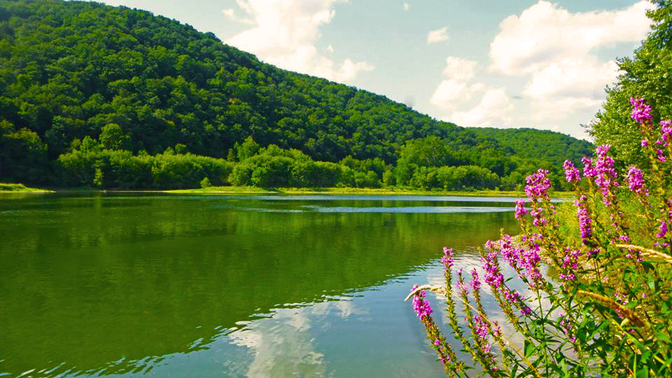 Get Out This Summer on the Allegheny River Water Trail