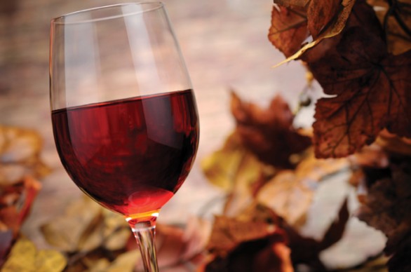 Celebrate Pennsylvania Wine Month in the Pennsylvania Great Outdoors