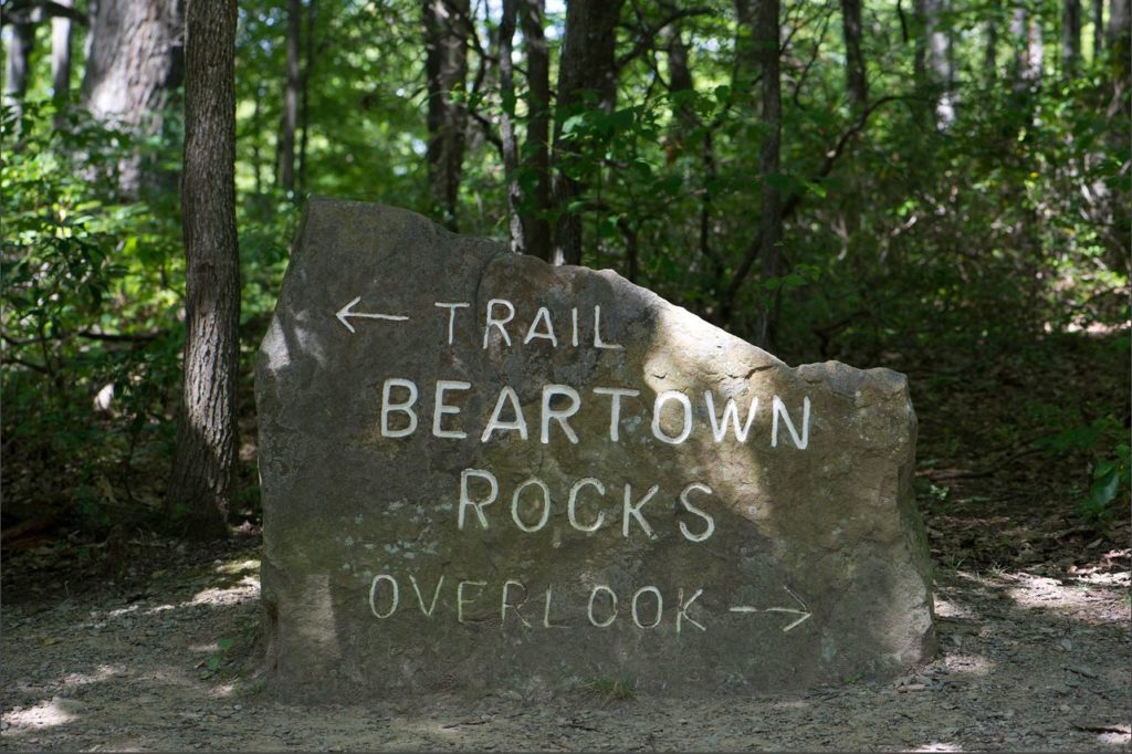 Beartown Rocks GinnyAllison