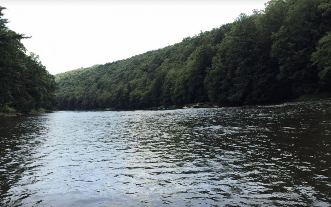 Paddle the Clarion River Water Trail