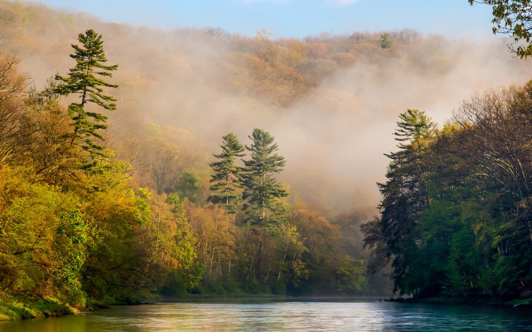 Clarion River To Be Honored in 2019 on Postage Stamp