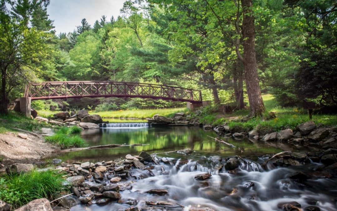 Getting Away to the Parks and Forests of the Pennsylvania Great Outdoors