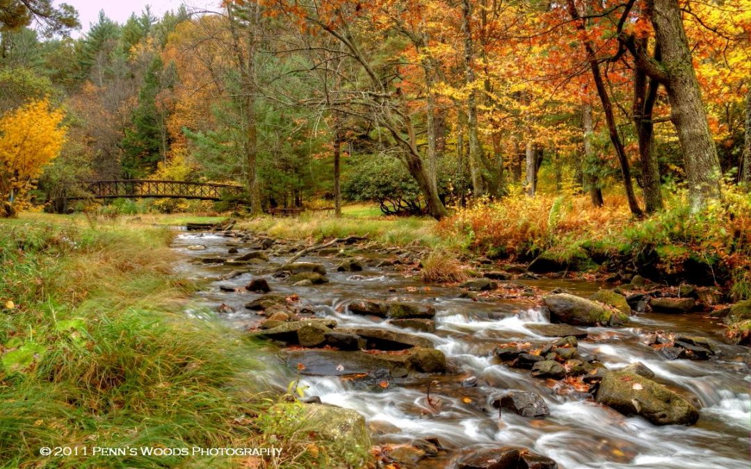 Celebrate 50 Years of Protected Trails and Rivers in the Pennsylvania Great Outdoors