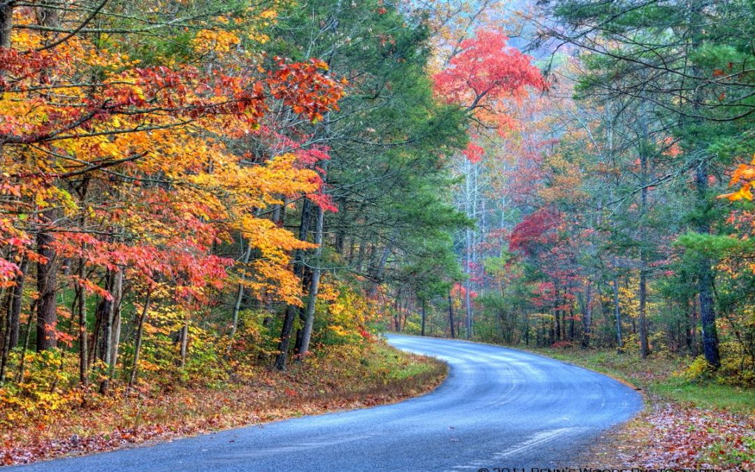 10 PLACES TO SEE FALL FOLIAGE