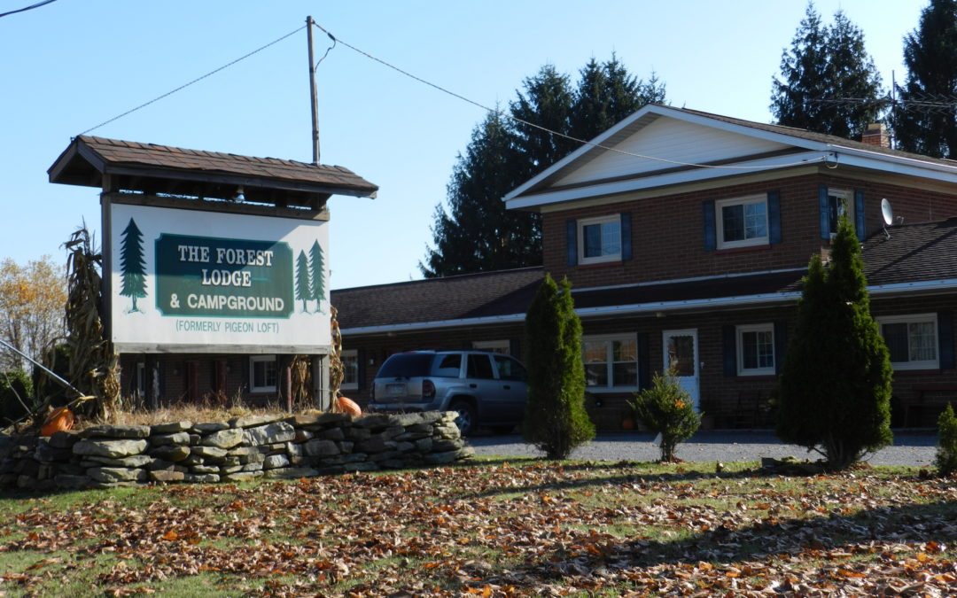 Forest Lodge and Campground