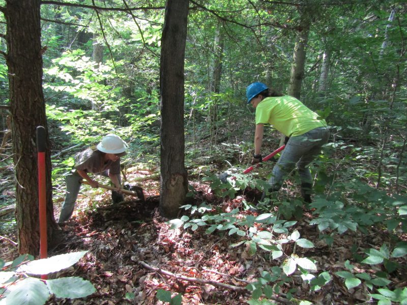 Allegheny National Forest Stream Reclamation Project