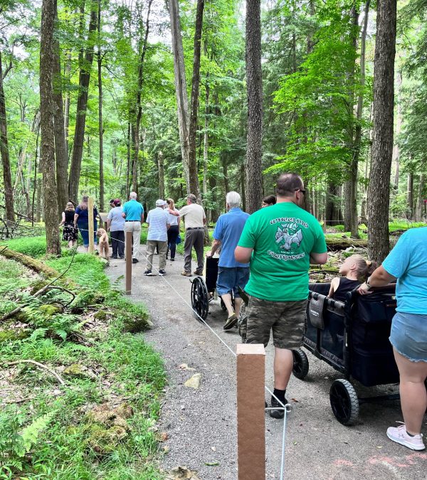 Cook Forest Sensory Trail | Visit PA Great Outdoors