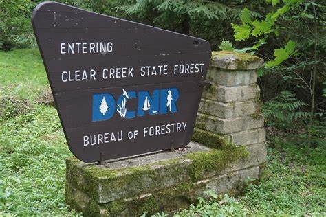 Clear Creek State Forest